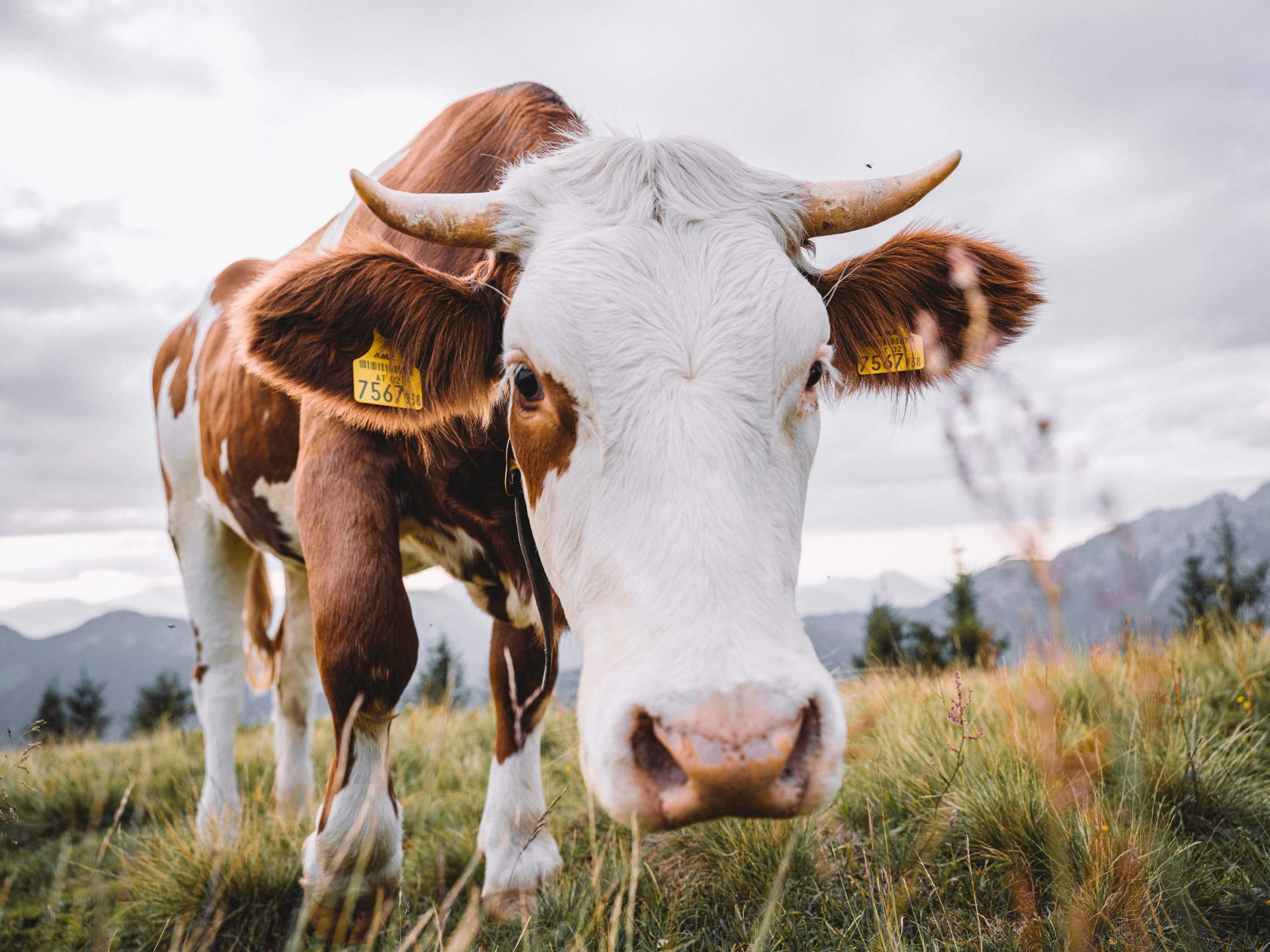 Fragen? Kein Problem!